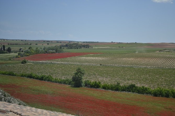 Madrid Wineries Private Tour with Hotel Pickup and Lunch - Timing and Logistics: About 7 Hours, Two Drop-Off Points, and a Consistent Flow