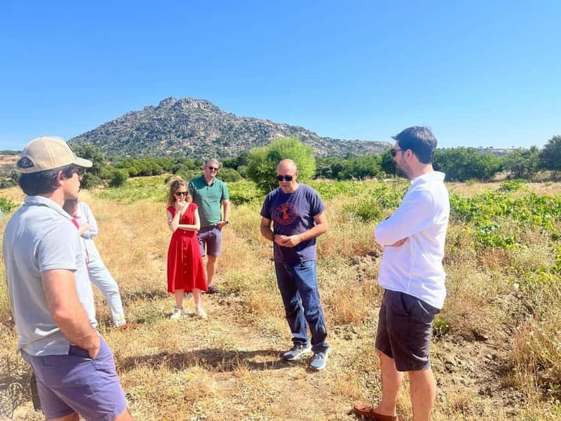 Madrid Winery Tour: Visit & Tasting With Sommelier Guide - Snacks, Buying Wine, and Leaving with a Plan