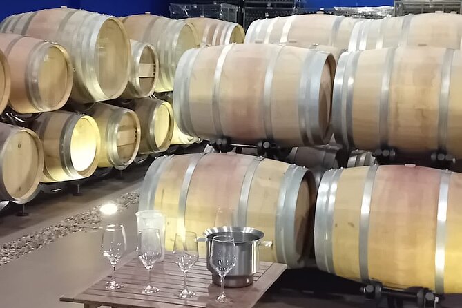 Madrid Winery Tour with Tasting and Sommelier Guide - Community of Madrid Stop 1: why the appellation talk actually matters