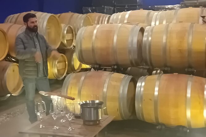 Madrid Winery Tour with Tasting and Sommelier Guide - What makes the tasting feel worth it (and not rushed)