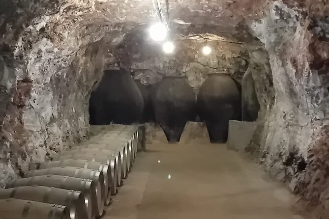 Madrid Winery Tour with Tasting and Sommelier Guide - Who should book this Madrid winery tour?