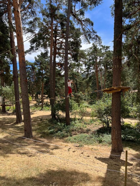 Madrid: Zip line circuits high in the trees - The biosphere reserve forest setting (and why it’s more than scenery)