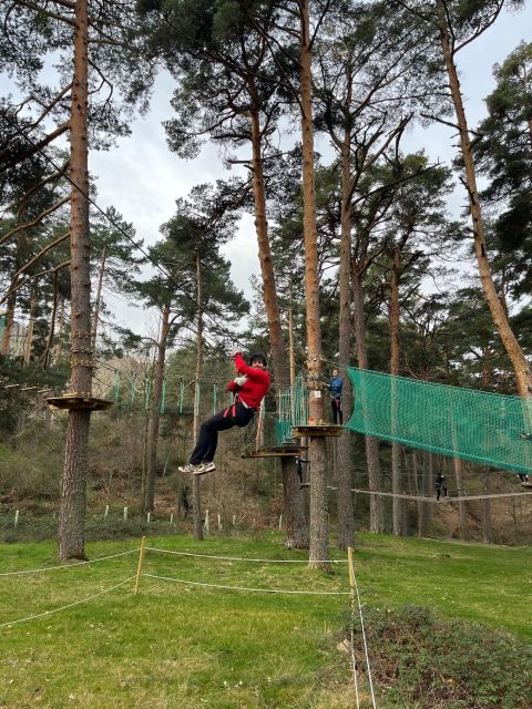 Madrid: Zip line circuits high in the trees - Should you book? My practical take