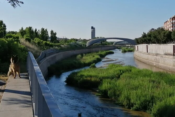 Manzanares River’s Story: A Self-Guided Audio Tour in Madrid - A Self-Guided Audio Walk That Actually Feels Like Madrid