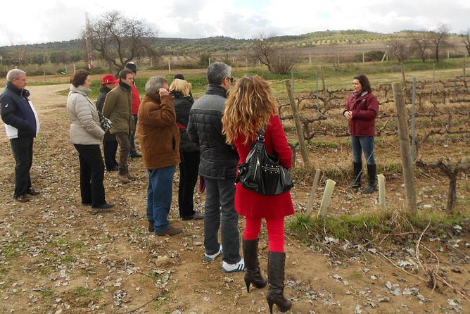 Medieval Castles, Wineries Experience with Tasting from Madrid - Should You Book This Medieval Castles, Wineries, and Tasting Day Trip?
