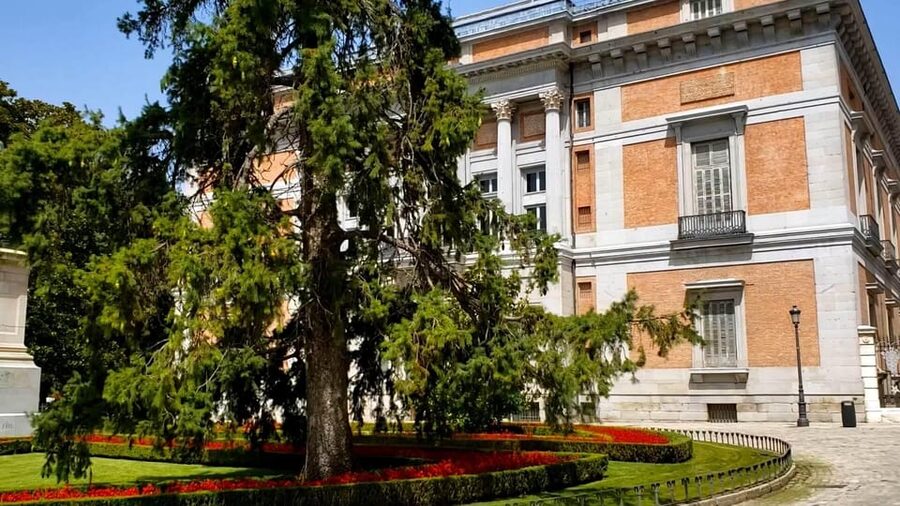 PRADO MUSEUM HIGHLIGHTS PRIVATE TOUR - Meeting Point and Getting Started Smoothly