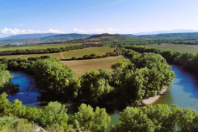 Premium Tour to Ribera del Duero with Wnologist Guide - Key highlights you should know