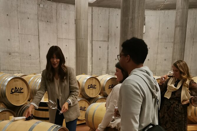 Premium Tour to Ribera del Duero with Wnologist Guide - Price and what you’re really paying for (about $480.56)