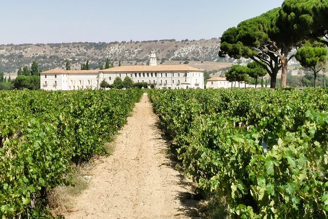 Premium Tour to Ribera del Duero with Wnologist Guide - Stop 1: Bodegas Dominio de Cair and its modern, functional winery vibe