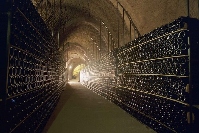 Premium Tour to Ribera del Duero with Wnologist Guide - Stop 2: Bodegas Ismael Arroyo | ValSotillo and its subway winery legacy