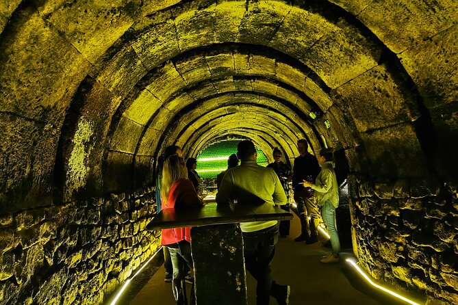 Premium Tour to Ribera del Duero with Wnologist Guide - Group size (max 8) and how that changes your day