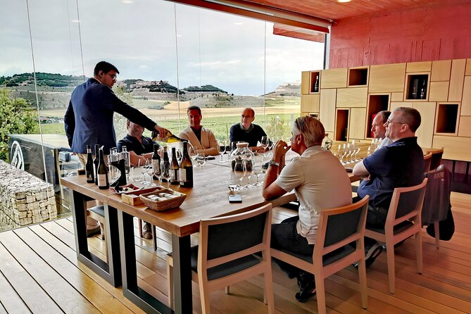 Premium Tour to Ribera del Duero with Wnologist Guide - How the tastings work across the day (and how to not get overwhelmed)