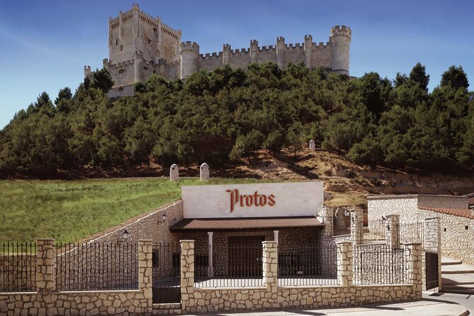 Premium Tour to Ribera del Duero with Wnologist Guide - The morning pickup from Madrid: start at 8:30 and settle in fast
