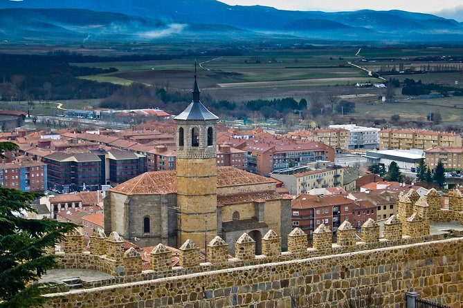 Private 3-hour Walking Tour of Avila with official tour guide - Puerta del Alcázar: your photo stop with a payoff