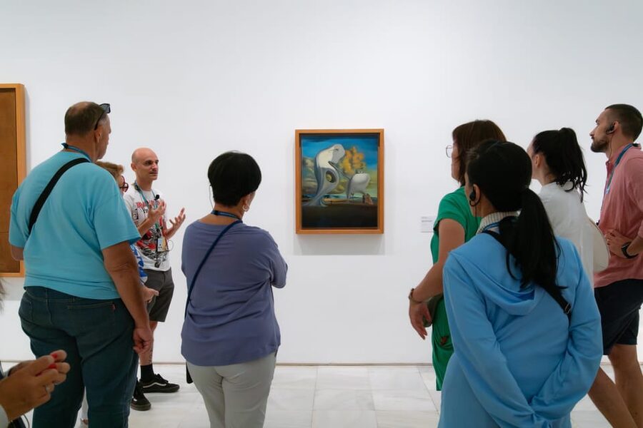 Private Guided tour Afternoon Art Delight at Reina Sofía - Reina Sofía in 90 minutes: how this tour works