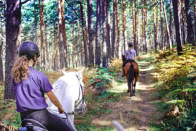 Private Horse Ride in Madrid natural park reserve - Key highlights worth your attention