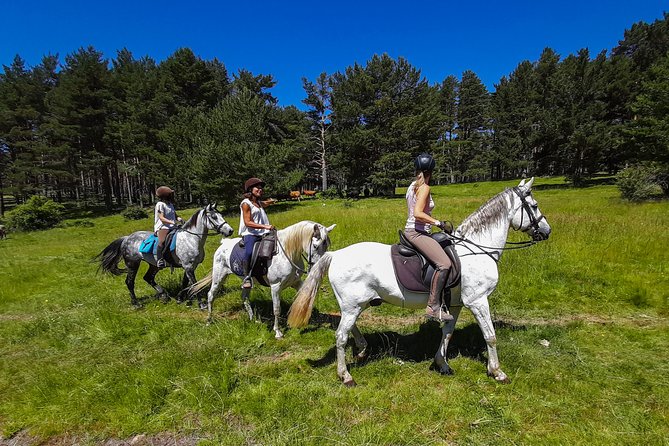 Private Horse Ride in Madrid natural park reserve - Horseback in Los Molinos: the Madrid nature fix you can feel