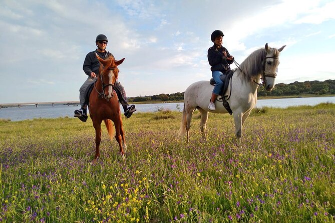 Private Horse Ride in Madrid natural park reserve - The Sierra del Guadarrama route: what you’ll actually ride through