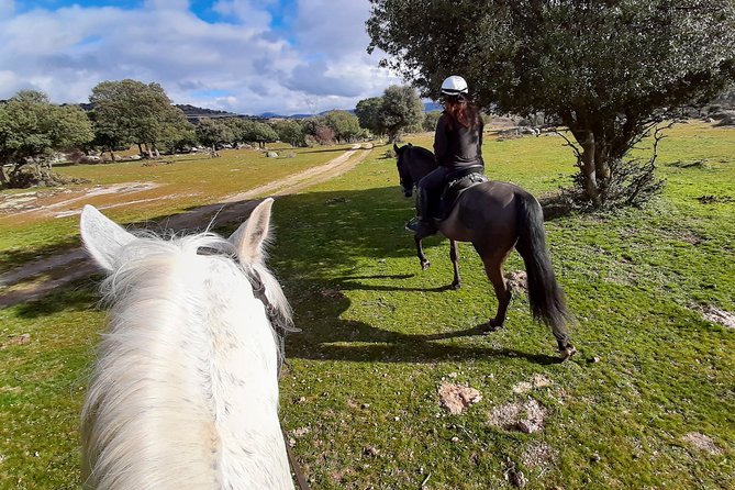 Private Horse Ride in Madrid natural park reserve - What’s included (and what you might need to bring)
