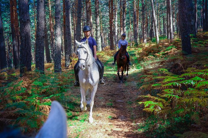 Private Horse Ride in Madrid natural park reserve - How the private setup works (and why 2–6 people matters)