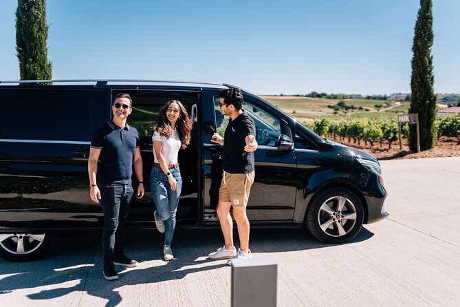 Private Segovia & Ribera del Duero with Wine Tasting from Madrid - Segovia’s Roman aqueduct, cathedral, and Alcázar in one guided loop