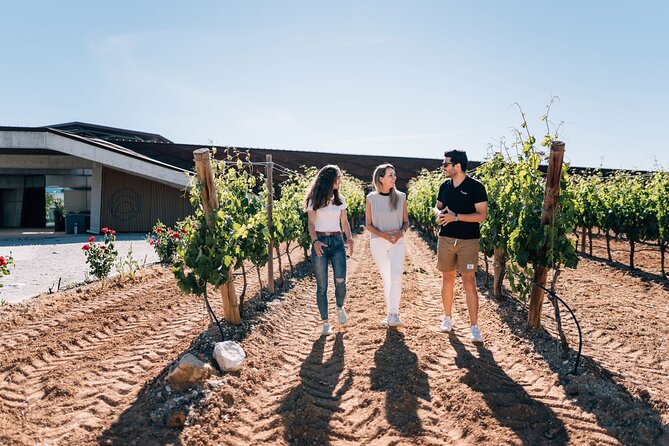 Private Segovia & Ribera del Duero with Wine Tasting from Madrid - Group size and the private guide feel: what to expect on the ground