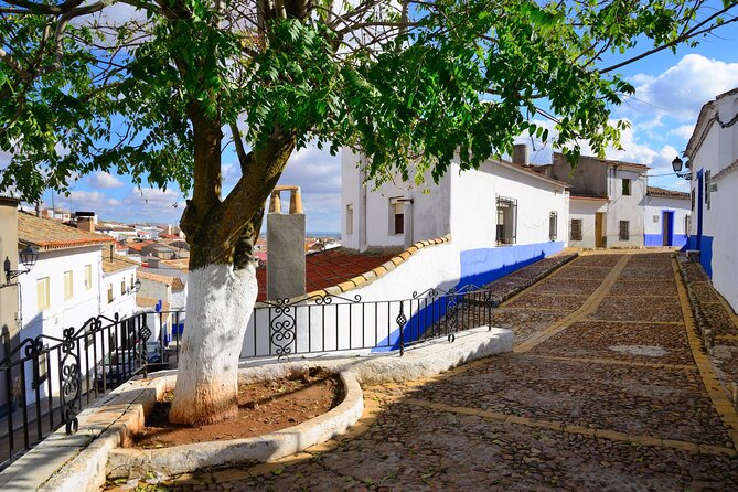 Private Toledo and La Mancha Windmills Day Trip from Madrid - Price and Value: Is $583.79 per Person Fair?