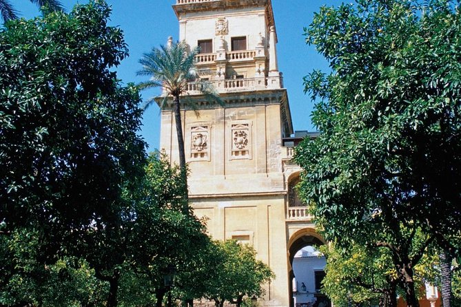 Private Tour: Cordoba Day Trip from Madrid by High-Speed Train - High-speed train to Cordoba: the day-trip rhythm that actually works