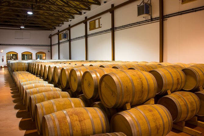 Private Tour & Lunch Of Underground Winery & Countryside Estate - Carabaña Estate: Hydroelectric Water Museum, Trenches, and a River-Waterfall Lunch