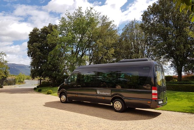 Private Transfer Madrid Barajas Airport to Madrid in Vans up to 7 Passengers - Comfort and Capacity: Vans for Families and Small Groups