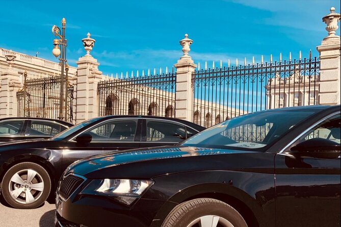 Private Transportation from Madrid Airport to City Center - The Mixed Reviews: What to Double-Check Before You Go