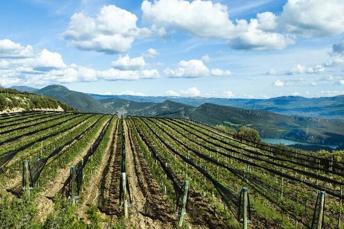 Private Wine Tasting And Visit Tour in Ribera Duero - Key highlights to watch for