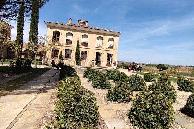 Private Wine Tasting And Visit Tour in Ribera Duero - Lunch as an optional add-on—and when it’s worth it