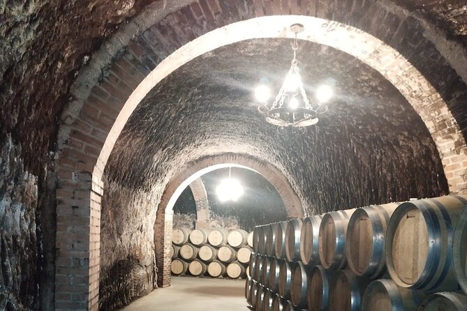 Private Wine Tasting And Visit Tour in Ribera Duero - Price and logistics: is $374.45 per person good value?