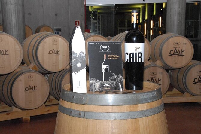 Private Wine Tasting And Visit Tour in Ribera Duero - Stop 1 in Ribera del Duero: Tinto Fino roots and hands-on winemaker attention