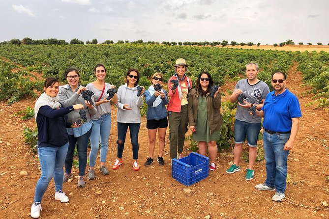 Private Winery Tour near Madrid with Sommelier (6-hour) - A Private Sommelier Day Trip From Madrid: What You Really Get