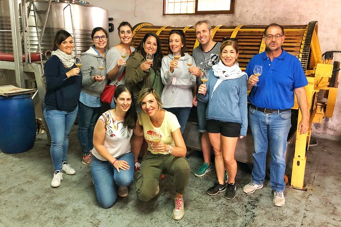 Private Winery Tour near Madrid with Sommelier (6-hour) - Price and Logistics: Is $495 a Good Value?