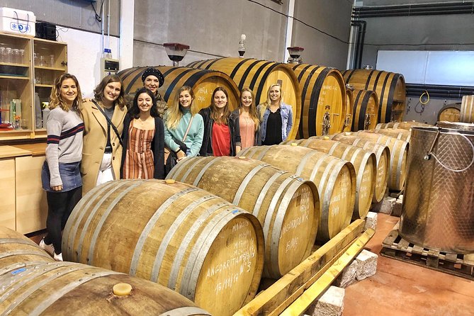 Private Winery Tour near Madrid with Sommelier (6-hour) - Family Winery Time: Fermentation, Aging, and Spanish Wine Logic