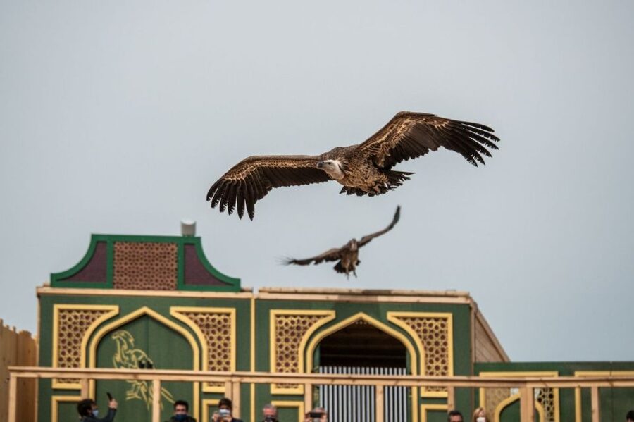 Puy du Fou España Entry Ticket - FAQ