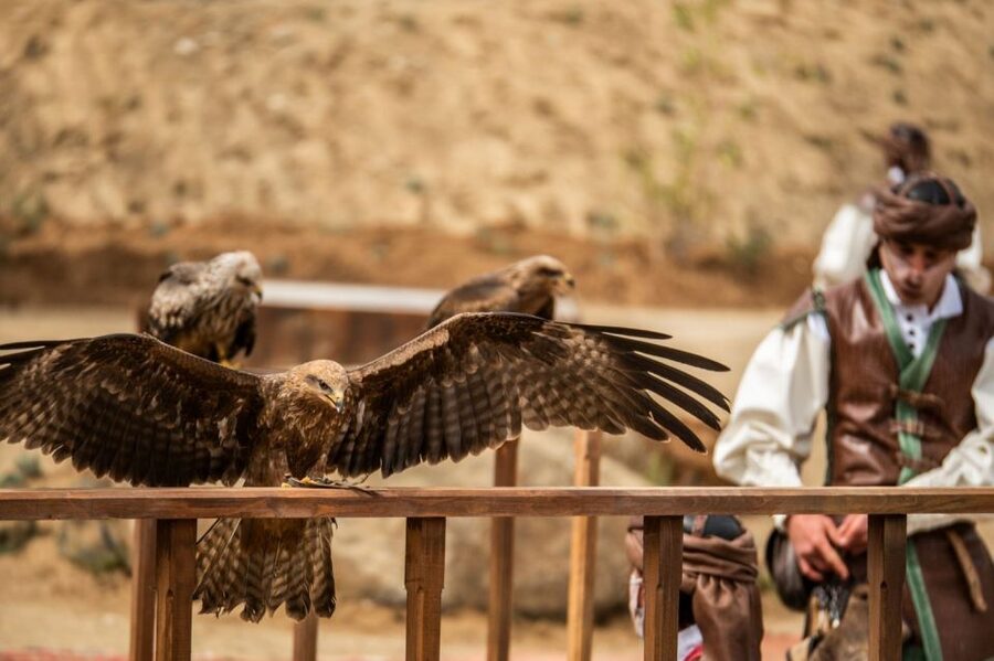 Puy du Fou España Entry Ticket - Historic villages and craft workshops: the part that makes it more than theatre