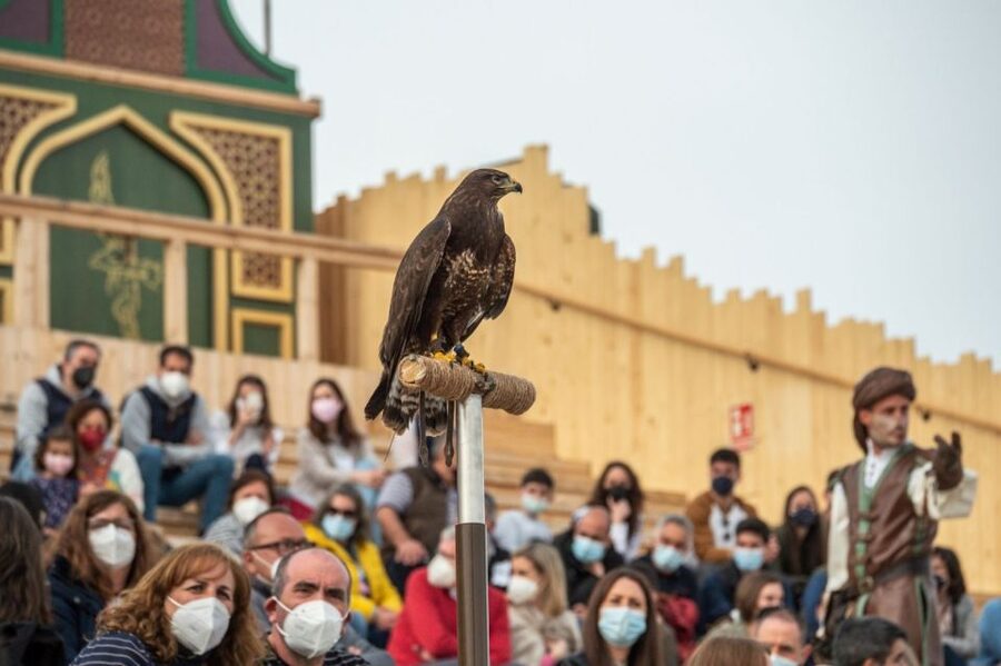 Puy du Fou España Entry Ticket - Who should book this day pass?