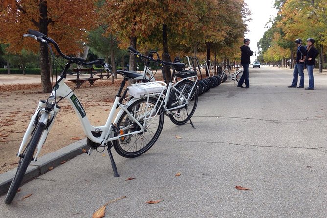 Retiro Park bike tour- Get transported to the XVI century - Parque del Retiro: getting real time in the park (about 45 minutes)