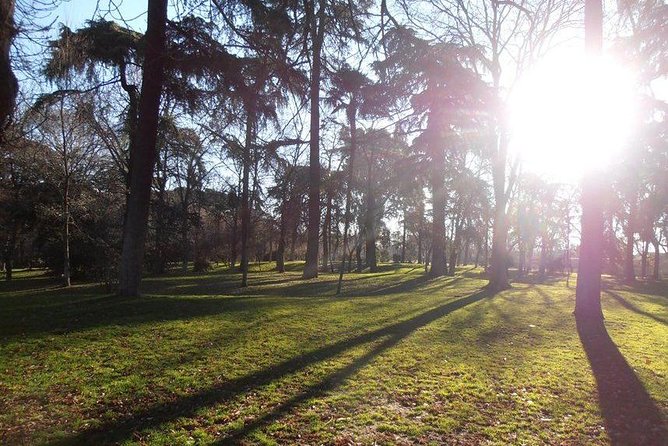 Retiro Park & Prado Museum Private Tour - Stop 1: Parque del Retiro for 2 hours of park time you’ll actually feel