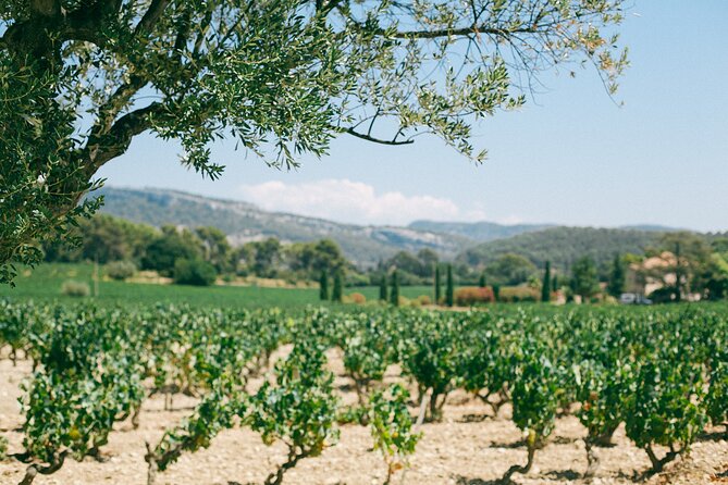 Ribera and Rioja Wineries Private Tour from Madrid - Stop 2: Bodegas Portia and the built-in food break (1 hour)