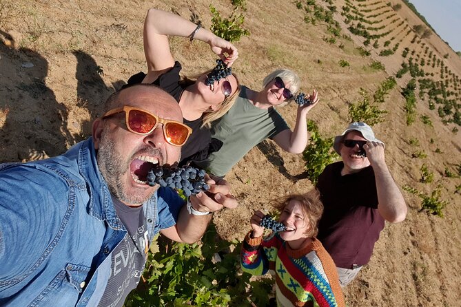 Ribera del Duero:4 Wineries, tasting & Lunch included from Madrid - Tempranillo and underground caves: the Ribera del Duero morning (Stop 1)