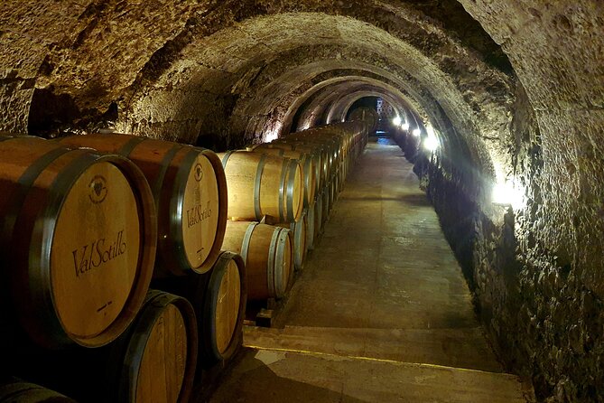 Ribera del Duero:4 Wineries, tasting & Lunch included from Madrid - Alvides and a XVI-century underground cellar: an exclusive-feeling tasting (Stop 3)