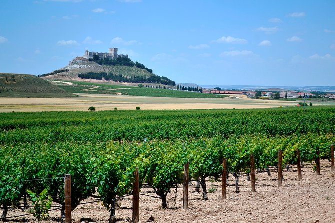Ribera del Duero Small Group Tour: Tapas & Wine Tasting - Key points before you go
