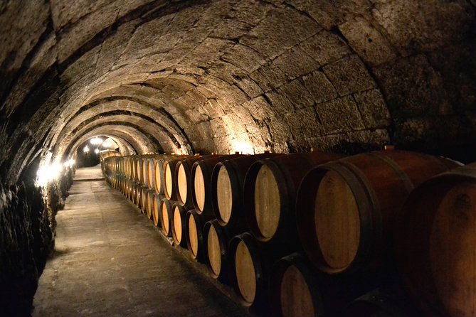 Ribera del Duero Small Group Tour: Tapas & Wine Tasting - Hotel pickup, timing, and how the day actually feels