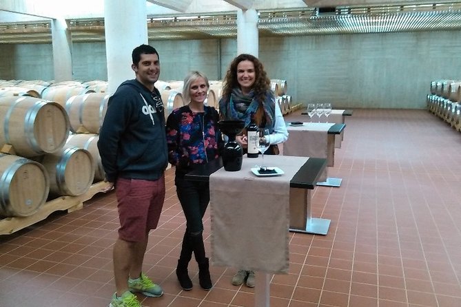 Ribera del Duero Small Group Tour: Tapas & Wine Tasting - Transportation comfort and pacing (the unglamorous part that matters)