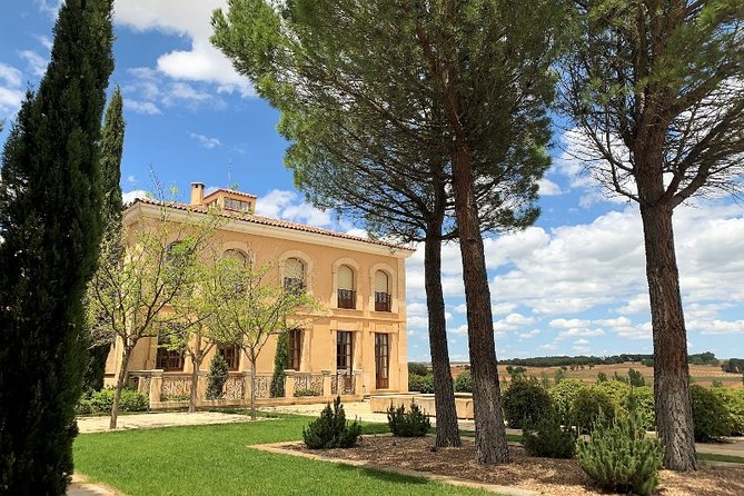 Ribera del Duero Small Group Tour: Tapas & Wine Tasting - Who should book this Ribera del Duero tour (and who should skip)